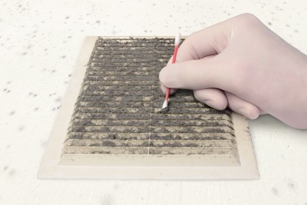 Air Duct Mold Cleaning - Air Duct Mold Cleaning Morrison, Colorado