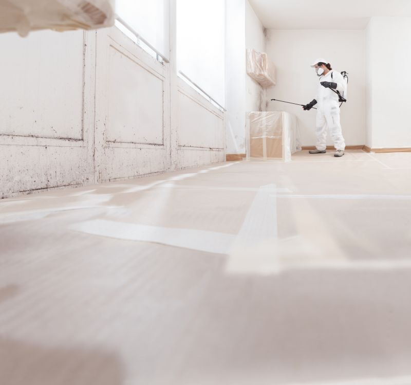 Mold Mitigation Service detail
