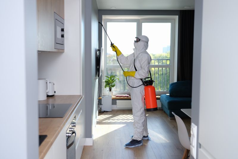 Mold Mitigation Service